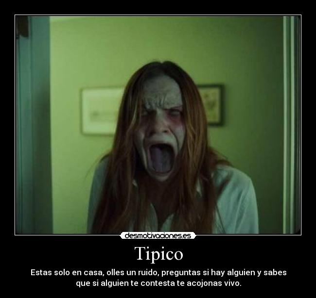 Tipico -