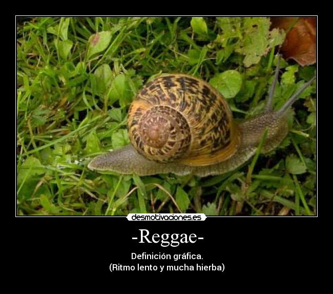 -Reggae- - Definición gráfica.
(Ritmo lento y mucha hierba)