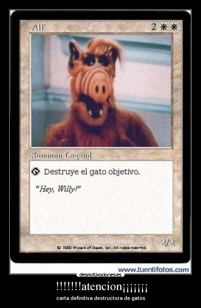 !!!!!!!atencion¡¡¡¡¡¡¡ - carta definitiva destructora de gatos