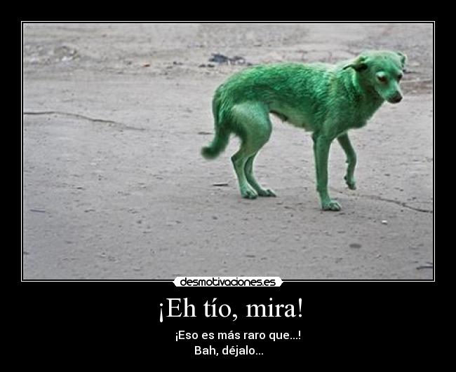 ¡Eh tío, mira! - ¡Eso es más raro que...!
Bah, déjalo...