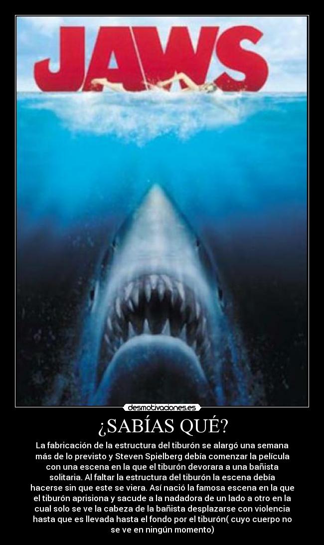¿SABÍAS QUÉ? - La fabricación de la estructura del tiburón se alargó una semana
más de lo previsto y Steven Spielberg debía comenzar la película
con una escena en la que el tiburón devorara a una bañista
solitaria. Al faltar la estructura del tiburón la escena debía
hacerse sin que este se viera. Así nació la famosa escena en la que
el tiburón aprisiona y sacude a la nadadora de un lado a otro en la
cual solo se ve la cabeza de la bañista desplazarse con violencia
hasta que es llevada hasta el fondo por el tiburón( cuyo cuerpo no
se ve en ningún momento)