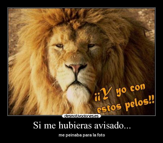 Si me hubieras avisado... - 