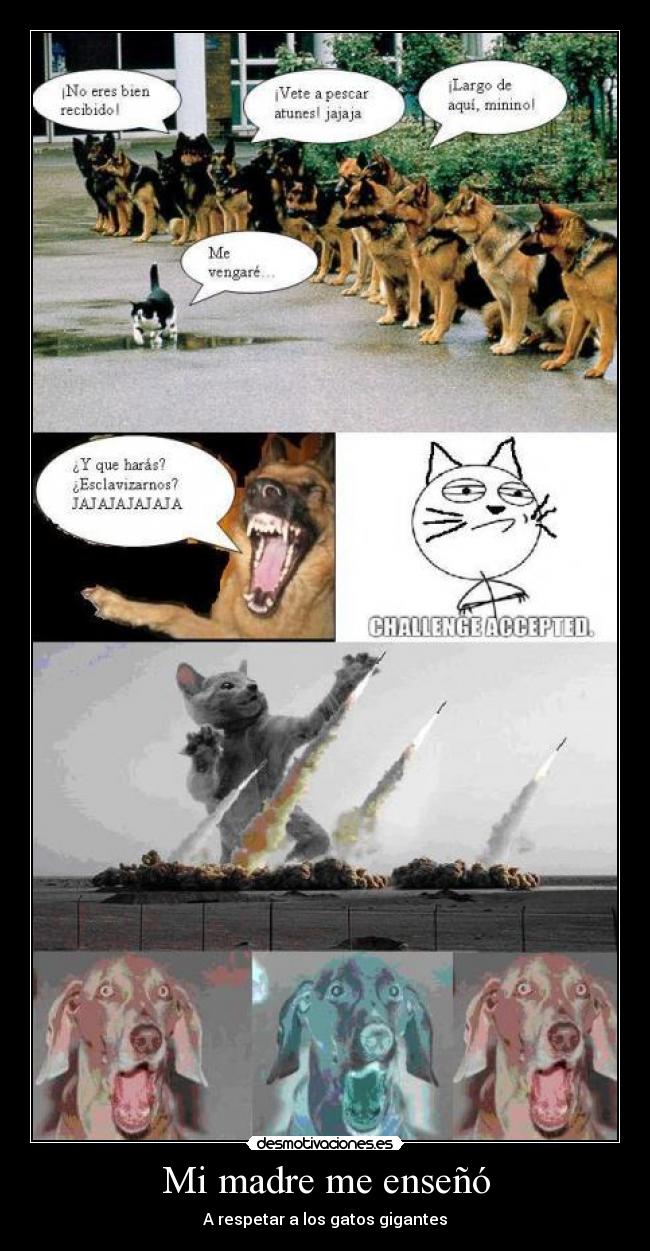 Mi madre me enseñó -