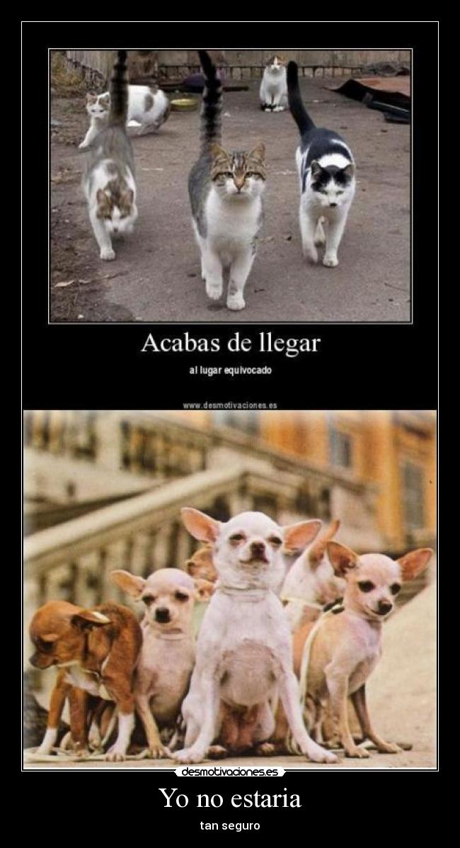 carteles polirrisitas desmotivaciones