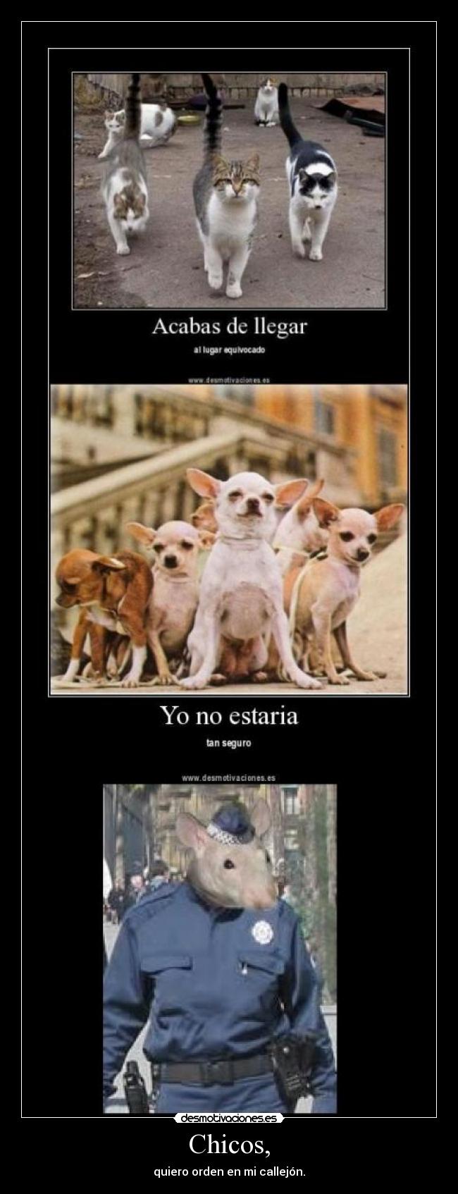 Chicos, - quiero orden en mi callejón.