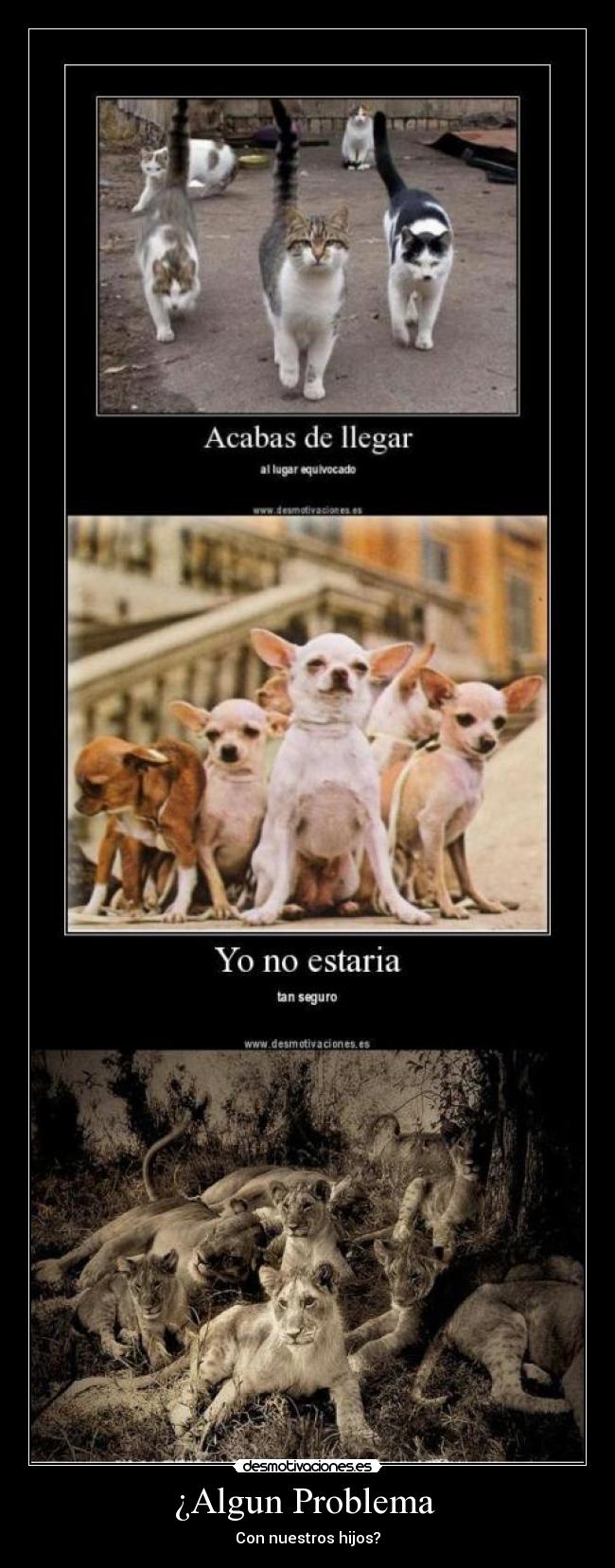 ¿Algun Problema - Con nuestros hijos?