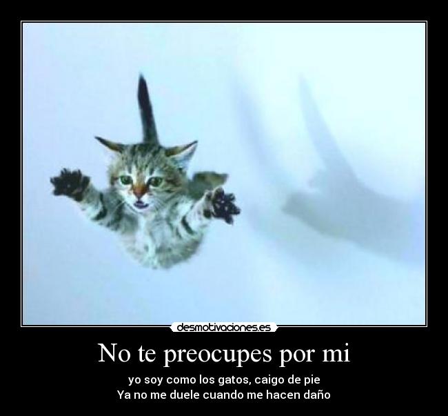 No te preocupes por mi -