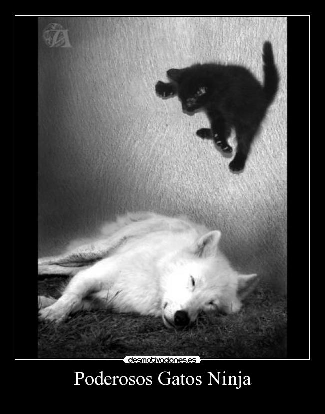Poderosos Gatos Ninja -
