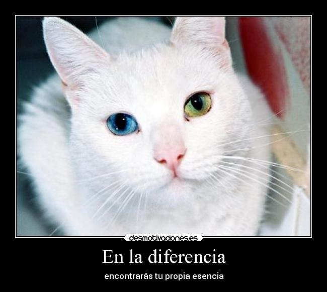 En la diferencia -