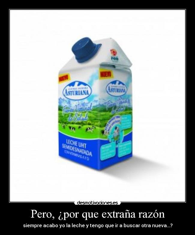 Pero, ¿por que extraña razón - siempre acabo yo la leche y tengo que ir a buscar otra nueva...?