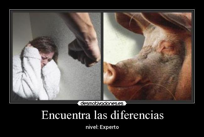 Encuentra las diferencias - nivel: Experto