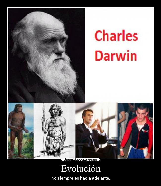Evolución - 
