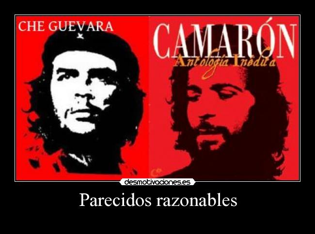 Parecidos razonables -