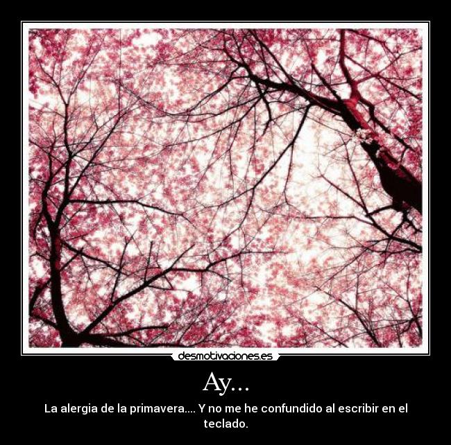 Ay... - La alergia de la primavera.... Y no me he confundido al escribir en el teclado.