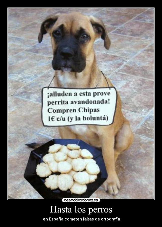 Hasta los perros - en España cometen faltas de ortografía