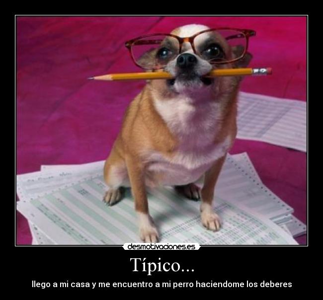 Típico... -