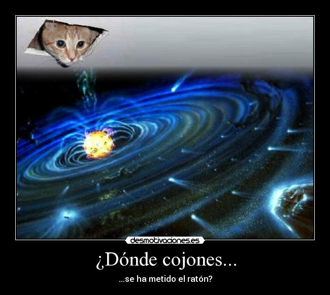 ¿Dónde cojones... - 