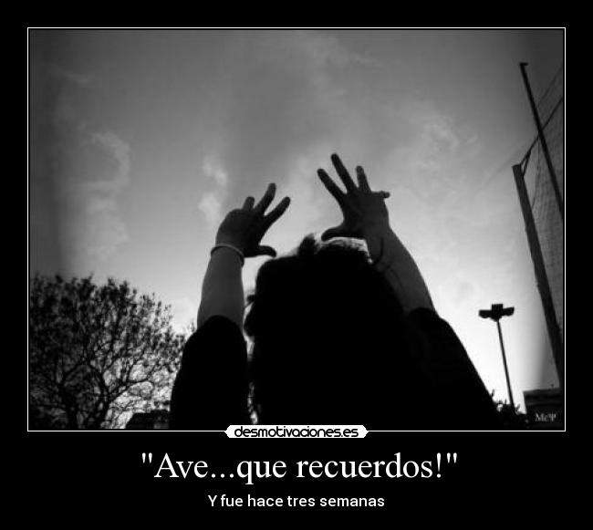 Ave...que recuerdos! - Y fue hace tres semanas