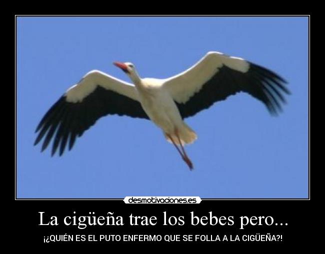 La cigüeña trae los bebes pero... - ¡¿QUIÉN ES EL PUTO ENFERMO QUE SE FOLLA A LA CIGÜEÑA?!