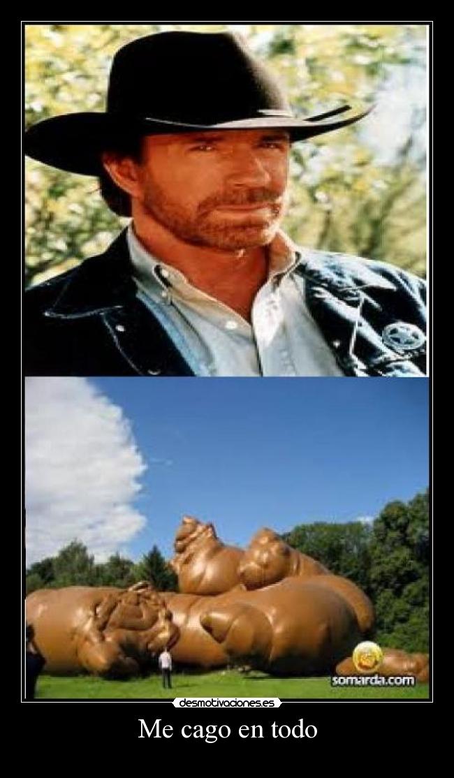 Me cago en todo -