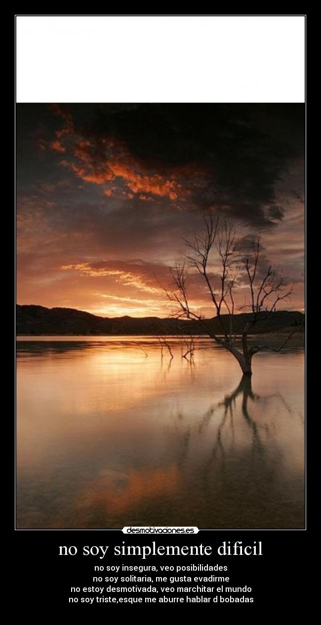 carteles intrpida desmotivaciones