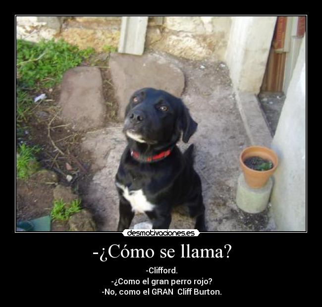 carteles clifford cliff burton metal perro desmotivaciones