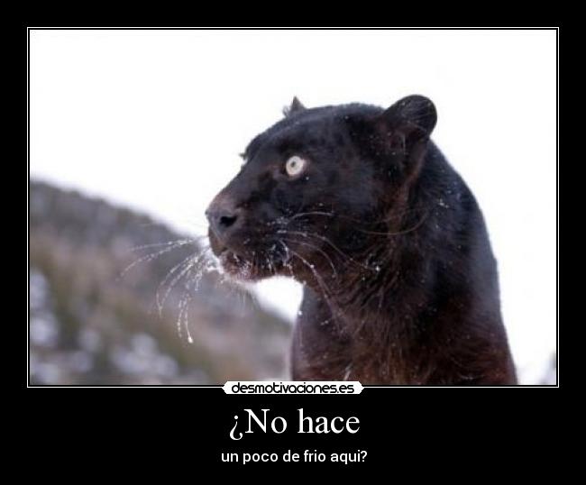 ¿No hace - un poco de frio aqui?