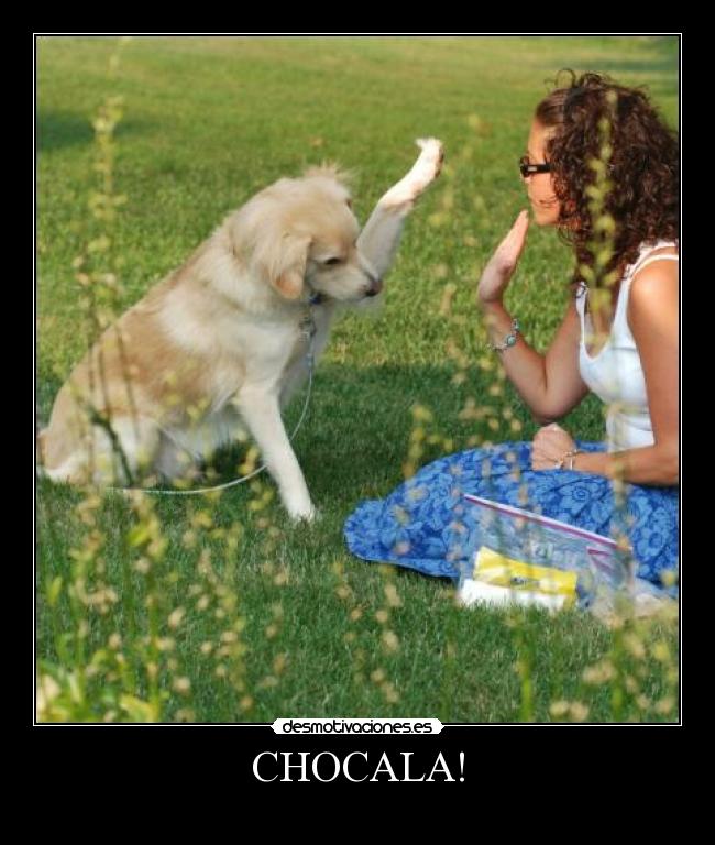 CHOCALA! -