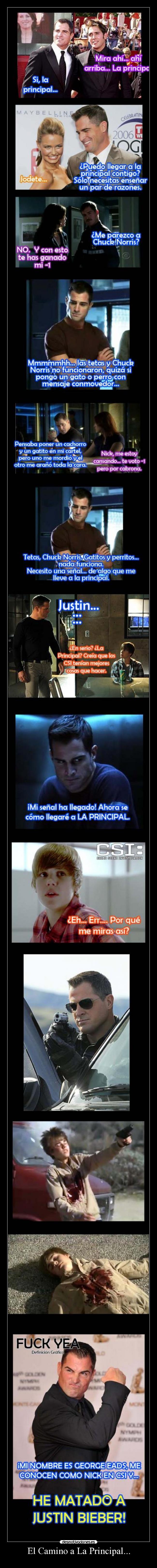 carteles justin bieber csi principal tetas chuck norris gatos perros nick desmotivaciones