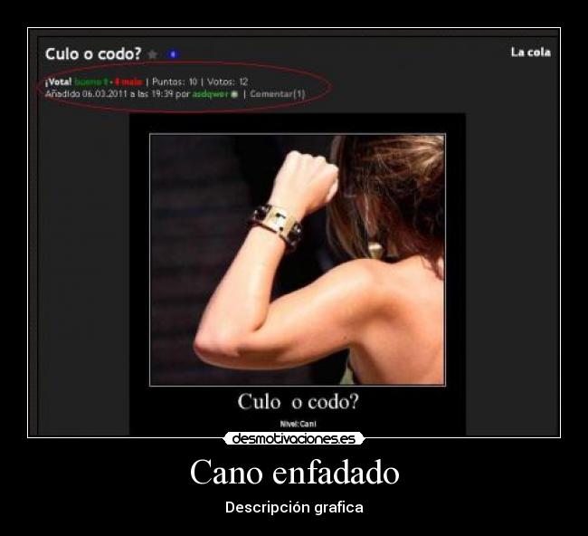 Cano enfadado - Descripción grafica