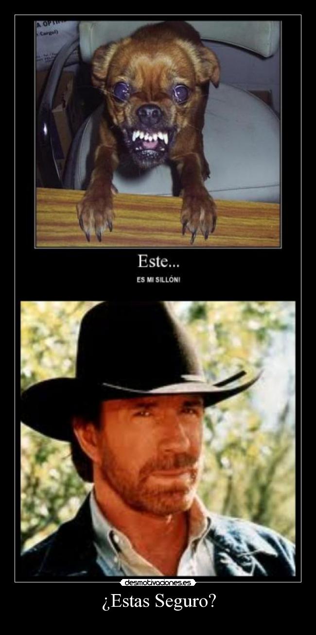 carteles chuck norris desmotivaciones