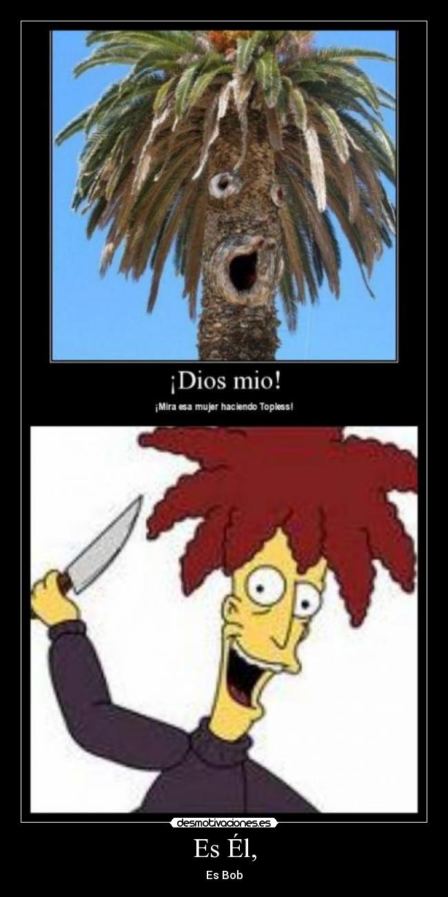 carteles bob desmotivaciones