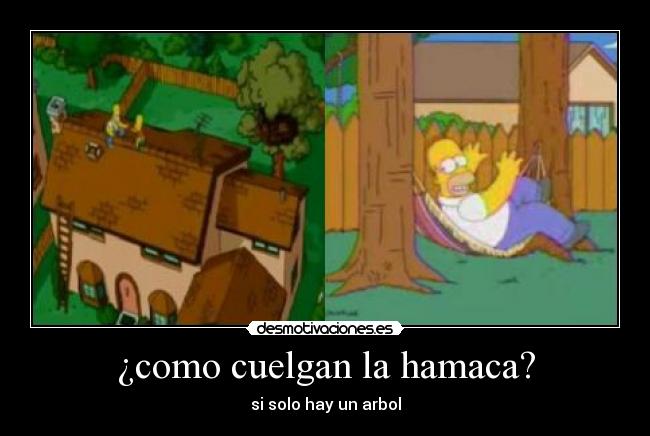 ¿como cuelgan la hamaca? - 