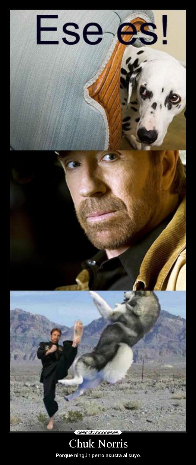 carteles pakitopepito desmotivaciones