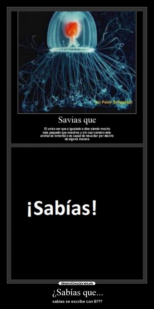 ¿Sabías que... - sabías se escribe con B???