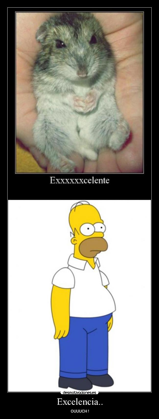 Excelencia.. - OUUUCH !