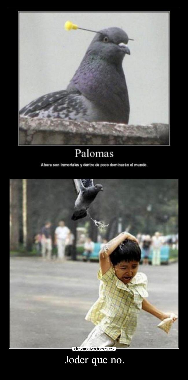 Joder que no. - 