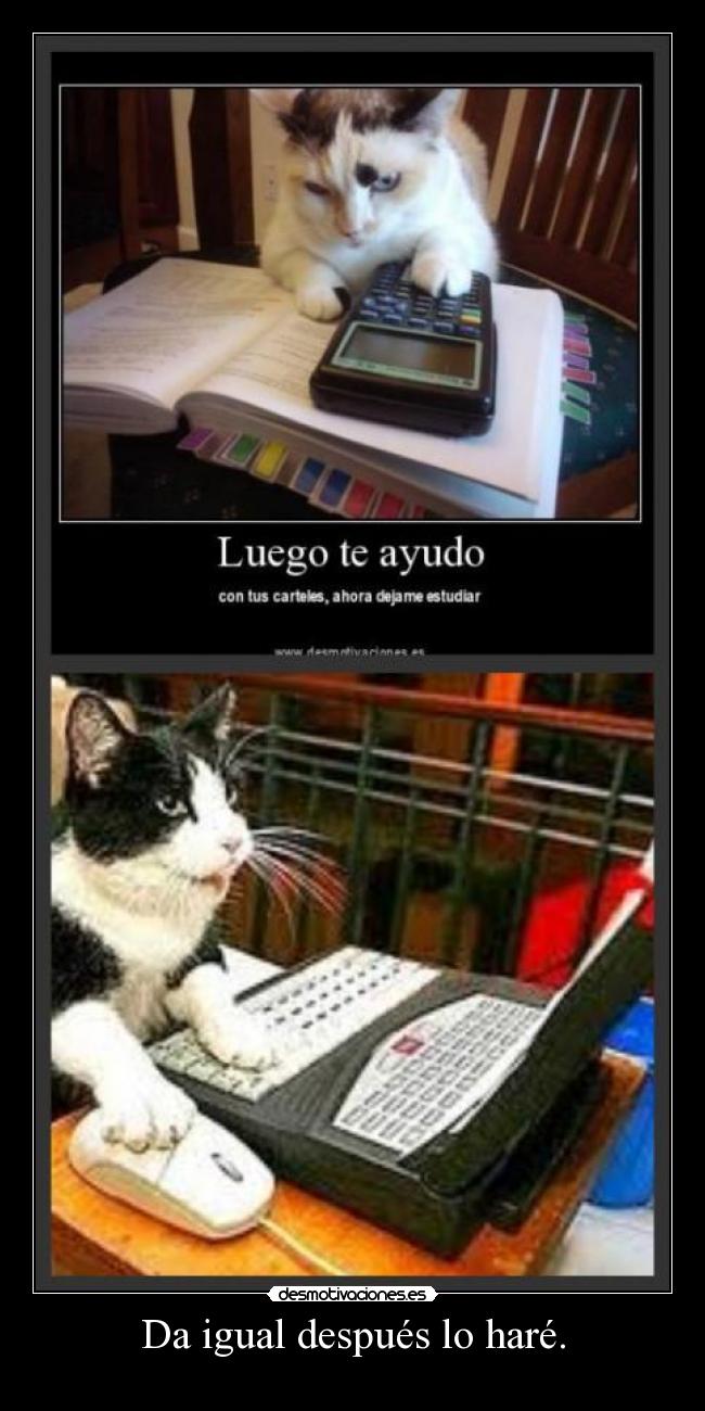 Da igual después lo haré. -