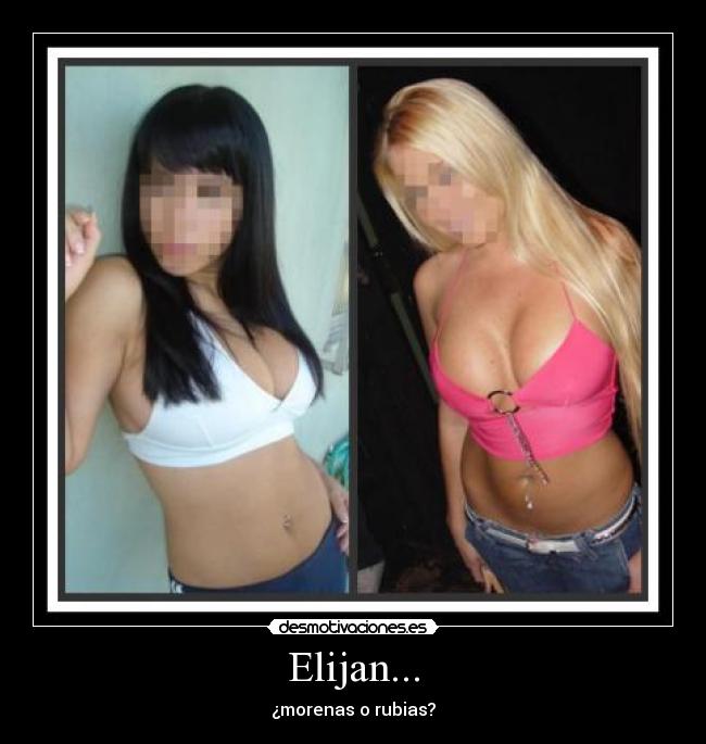 carteles test desmotivaciones