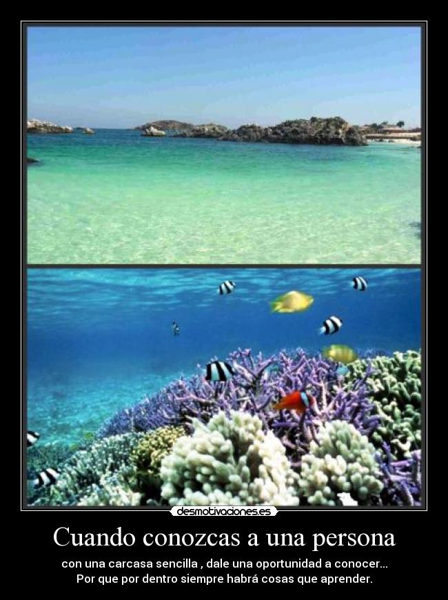 carteles verdad desmotivaciones