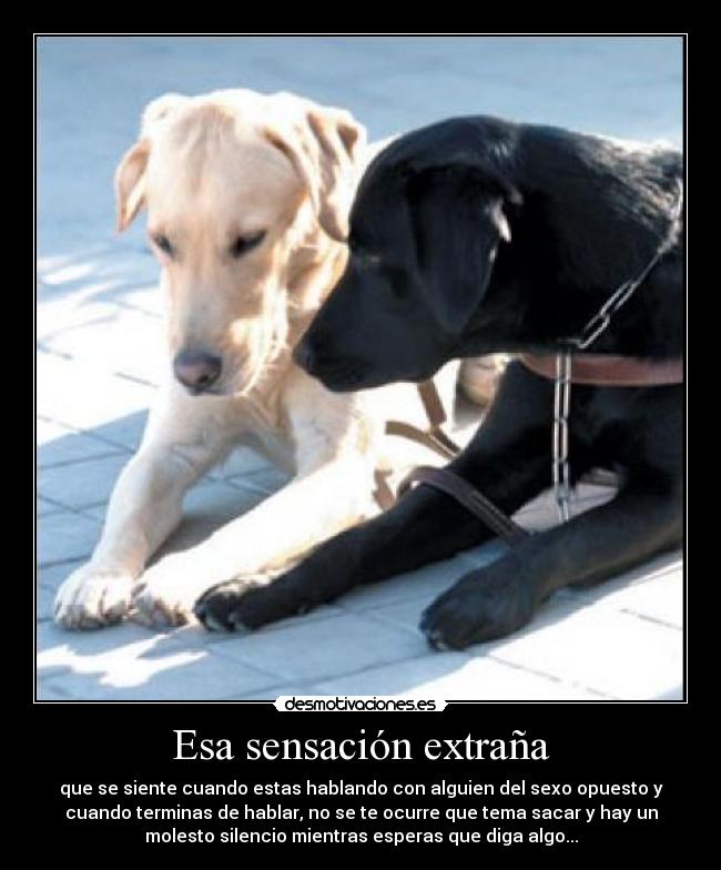 carteles hjkln desmotivaciones