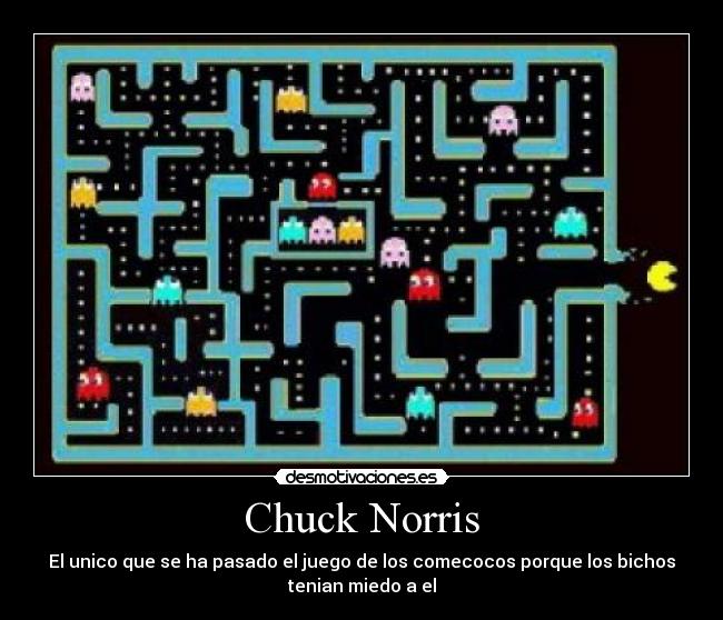 Chuck Norris - El unico que se ha pasado el juego de los comecocos porque los bichos
tenian miedo a el