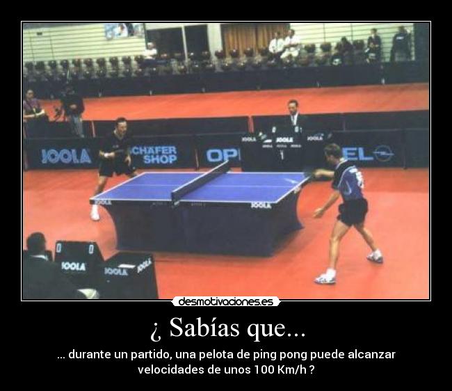 ¿ Sabías que... - ... durante un partido, una pelota de ping pong puede alcanzar
velocidades de unos 100 Km/h ?