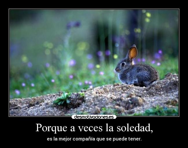 carteles soledad porque veces soledad desmotivaciones