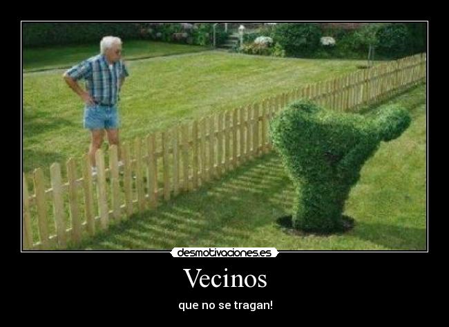 Vecinos - 