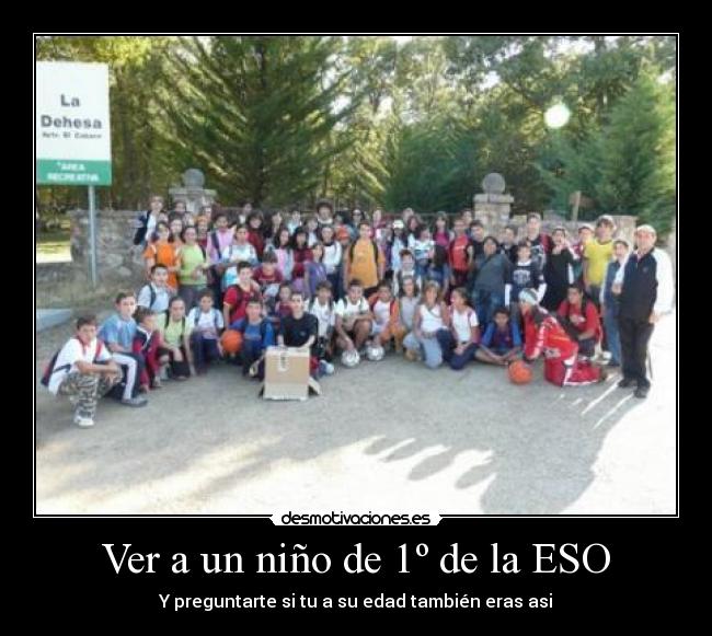 carteles 1 eso nino inmaduro desmotivaciones