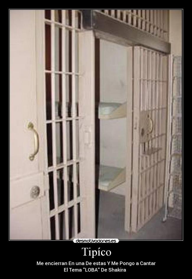 Tipíco - Me encierran En una De estas Y Me Pongo a Cantar
El Tema LOBA De Shakira  