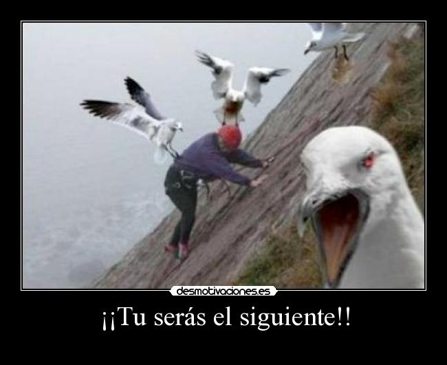 ¡¡Tu serás el siguiente!! -