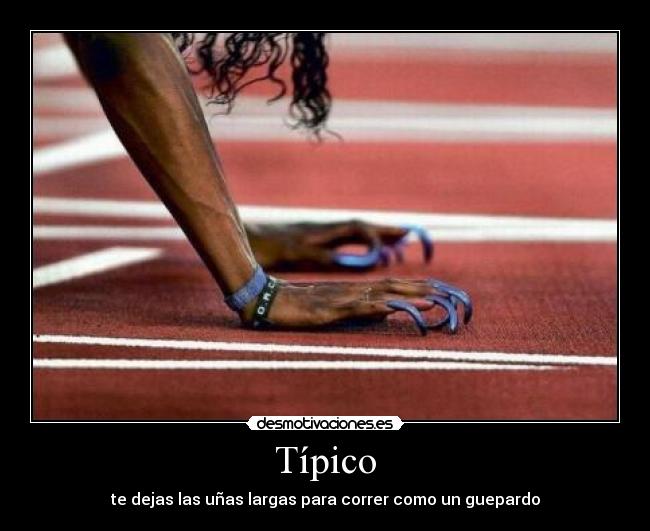 Típico - 