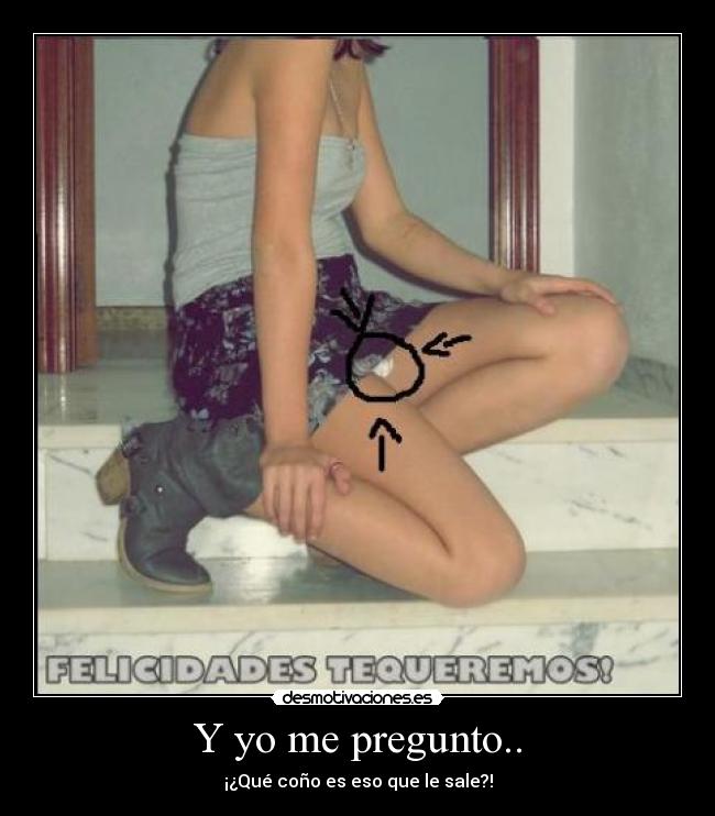 Y yo me pregunto.. -